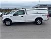 2019 Ford F-150 XLT (Stk: 263239AB) in Uxbridge - Image 4 of 10