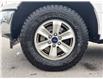 2019 Ford F-150 XLT (Stk: 263239AB) in Uxbridge - Image 10 of 10