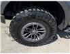2019 Ford F-150 Raptor (Stk: 24363) in Miramichi - Image 10 of 14