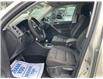 2010 Volkswagen Tiguan 2.0 TSI Highline (Stk: V508453) in Scarborough - Image 11 of 20