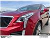 2021 Cadillac XT5 Sport (Stk: 133224) in Goderich - Image 11 of 27