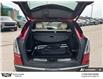 2021 Cadillac XT5 Sport (Stk: 133224) in Goderich - Image 14 of 27
