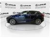 2025 Lexus RX 350  (Stk: 14U7535) in Markham - Image 5 of 28