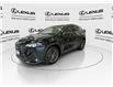 2024 Lexus NX 350  (Stk: 14U7499) in Markham - Image 4 of 27