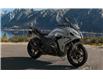 2026 BMW M/C R 1300 RS (Stk: M762300) in Oakville - Image 1 of 1