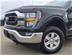 2023 Ford F-150 XLT (Stk: JUD029) in Brandon - Image 2 of 21