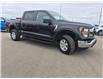 2023 Ford F-150 XLT (Stk: JUD029) in Brandon - Image 4 of 21