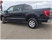2023 Ford F-150 XLT (Stk: JUD029) in Brandon - Image 8 of 21