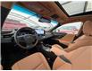 2025 Lexus ES 300h Base (Stk: 250949L) in Calgary - Image 7 of 18