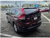 2014 Honda CR-V Touring (Stk: 2604161) in Waterloo - Image 3 of 23