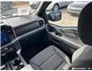 2025 Ford F-150 XLT (Stk: AFLA260337) in Hamilton - Image 19 of 19