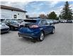 2024 Ford Edge Titanium (Stk: 260529) in Ottawa - Image 6 of 32