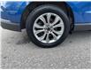 2024 Ford Edge Titanium (Stk: 260529) in Ottawa - Image 12 of 32