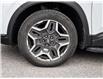 2023 Hyundai Santa Fe Urban (Stk: H579455T) in Brooklin - Image 25 of 27