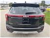 2024 Kia Seltos EX (Stk: 0244P) in Meaford - Image 6 of 12