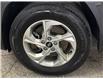 2024 Hyundai Tucson Trend (Stk: 43946J) in Belleville - Image 28 of 33 2024 Hyundai Tucson Trend (Stk: 43946J) in Belleville - Image 28 of 33