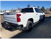 2024 Chevrolet Silverado 1500 LT Trail Boss (Stk: 25T168A) in Wadena - Image 6 of 16