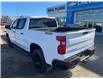 2024 Chevrolet Silverado 1500 LT Trail Boss (Stk: 25T168A) in Wadena - Image 8 of 16