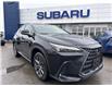 2023 Lexus NX 350 Base (Stk: H134) in Newmarket - Image 1 of 30