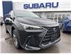 2023 Lexus NX 350 Base (Stk: H134) in Newmarket - Image 2 of 30 2023 Lexus NX 350 Base (Stk: H134) in Newmarket - Image 2 of 30