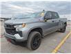 2025 Chevrolet Silverado 1500 LT Trail Boss (Stk: 44025J) in Belleville - Image 1 of 8