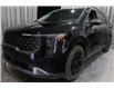 2026 Kia Carnival Hybrid SX+ (Stk: 27156) in Edmonton - Image 6 of 38