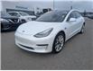 2019 Tesla Model 3 Standard Range (Stk: T-873A) in Calgary - Image 1 of 25