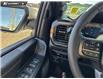 2026 Ford F-150 Tremor (Stk: 26T6854) in Red Deer - Image 16 of 24
