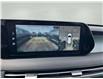 2025 Hyundai Palisade  (Stk: UPN208) in Cold Lake - Image 21 of 37
