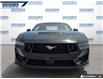 2024 Ford Mustang GT Premium (Stk: P3607) in Dartmouth - Image 2 of 24