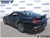 2024 Ford Mustang GT Premium (Stk: P3607) in Dartmouth - Image 4 of 24