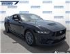 2024 Ford Mustang GT Premium (Stk: P3607) in Dartmouth - Image 6 of 24