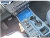 2026 Ford Maverick XLT (Stk: 28598) in Dartmouth - Image 17 of 24