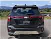 2024 Kia Seltos EX (Stk: P3668) in Courtenay - Image 5 of 22