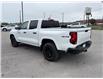 2023 Chevrolet Colorado WT (Stk: 26592A) in Port Hope - Image 5 of 14