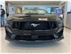 2026 Ford Mustang GT Premium (Stk: T15292) in Hague - Image 2 of 9