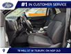 2026 Ford Ranger XLT (Stk: LFRA01543) in Tilbury - Image 7 of 15