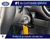 2026 Ford Ranger XLT (Stk: LFRA01543) in Tilbury - Image 12 of 15