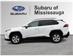 2020 Toyota RAV4 XLE (Stk: 260313A) in Mississauga - Image 4 of 20 2020 Toyota RAV4 XLE (Stk: 260313A) in Mississauga - Image 4 of 20