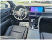 2025 Toyota Crown Signia Limited in Bowmanville - Image 17 of 29
