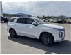 2025 Hyundai Palisade Ultimate Calligraphy (Stk: U859866M) in Cranbrook - Image 6 of 16