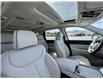 2025 Hyundai Palisade Ultimate Calligraphy (Stk: U859866M) in Cranbrook - Image 10 of 16