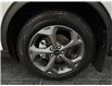 2025 Ford Escape ST-Line Select (Stk: S0050) in ROSETOWN - Image 17 of 17