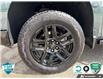2025 Chevrolet Silverado 1500 LT Trail Boss (Stk: 26C390A) in Tillsonburg - Image 6 of 25