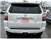 2024 Toyota 4Runner Base (Stk: W7013A) in Cobourg - Image 6 of 24