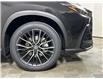 2026 Lexus NX 350  (Stk: 15105843) in Richmond Hill - Image 10 of 19