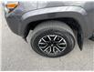 2020 Toyota Tacoma Base (Stk: 048486) in Ottawa - Image 10 of 25
