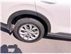 2024 Honda CR-V LX-B (Stk: MI6072A) in BELLEVILLE - Image 5 of 15