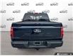 2024 Ford F-150 XLT (Stk: AFL1HL807) in Hamilton - Image 5 of 19 2024 Ford F-150 XLT (Stk: AFL1HL807) in Hamilton - Image 5 of 19