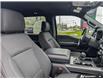 2024 Ford F-150 XLT (Stk: AFL1HL807) in Hamilton - Image 16 of 19 2024 Ford F-150 XLT (Stk: AFL1HL807) in Hamilton - Image 16 of 19